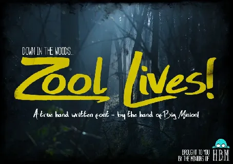 Zool Lives Script font