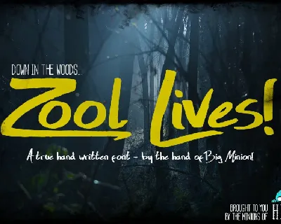 Zool Lives Script font