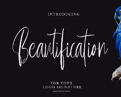 Beautification font