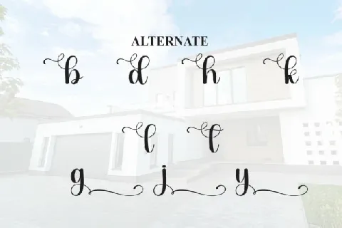 Bighome Script font