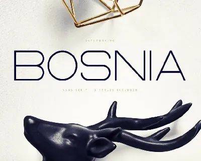 Bosnia font