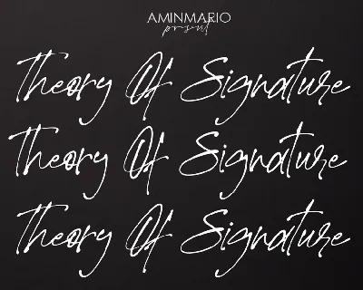 Theory Of Signature font