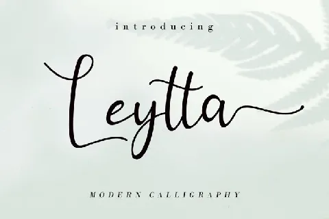 Leytta Modern Calligraphy font