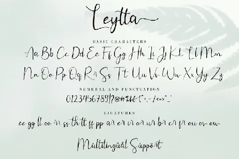 Leytta Modern Calligraphy font