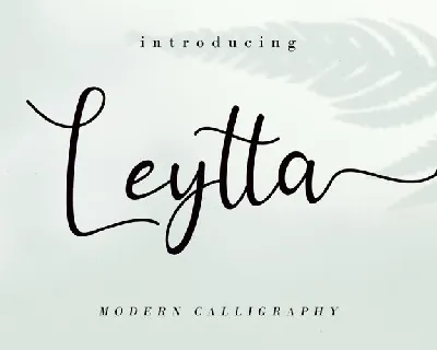 Leytta Modern Calligraphy font