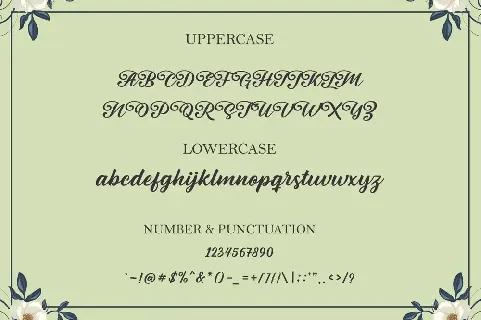 Lingstone font