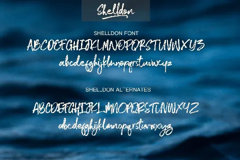 Shelldon Brush Script font