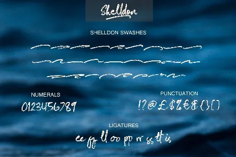 Shelldon Brush Script font