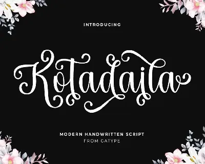 Kotadaila font