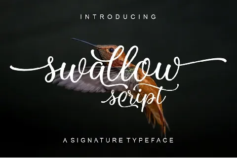 Swallow Script font