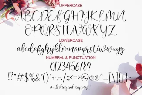 Mondeylla Calligraphy font