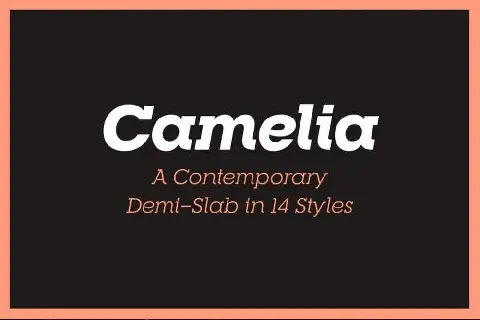 RNS Camellia font