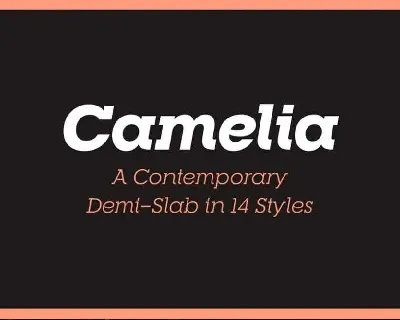 RNS Camellia font