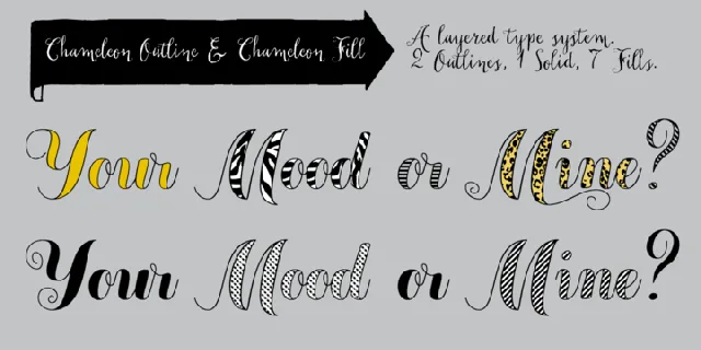 Chameleon font