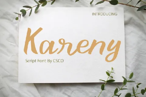 Kareny font