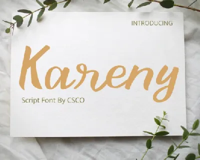 Kareny font