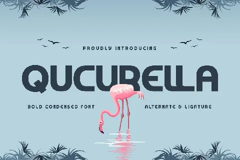 Qucurella font