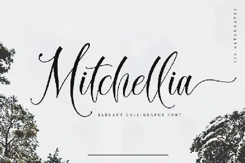 Mitchellia Script font