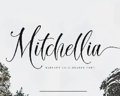 Mitchellia Script font