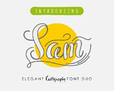 Sam Script font