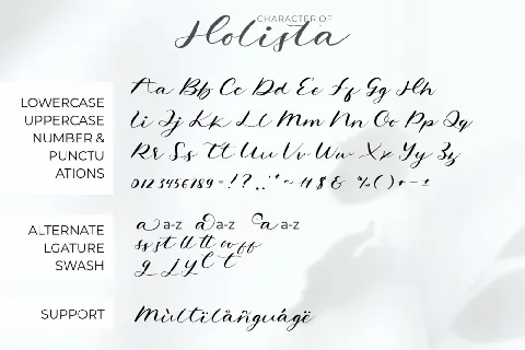 Holista Demo font