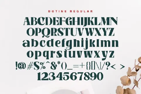 Dotine Typeface font