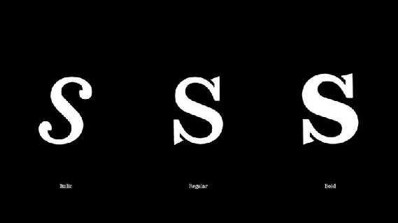 Redaction Serif Family font