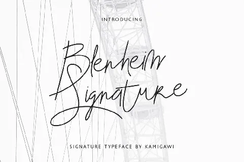 Blenheim Signature Demo font