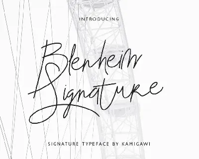 Blenheim Signature Demo font