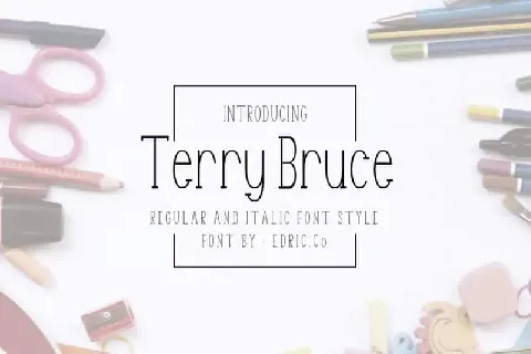 TerryBruce Sans Serif font