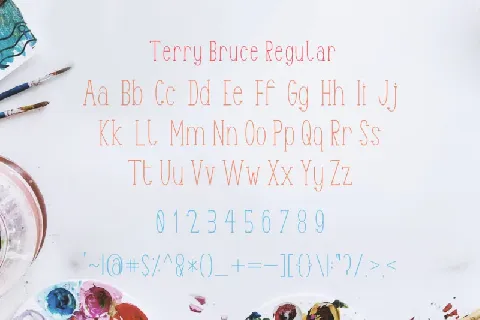 TerryBruce Sans Serif font