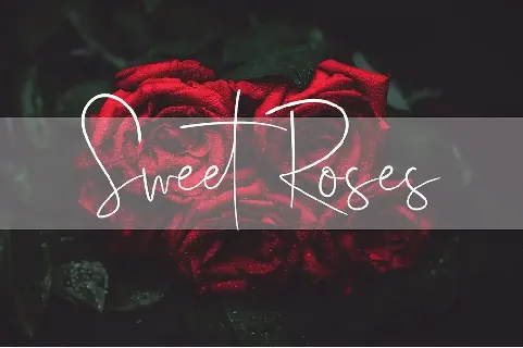 Youthness Script font