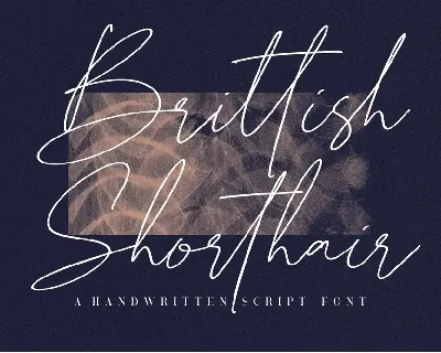 Brittish Shorthair font
