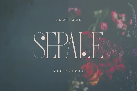 French Serif font