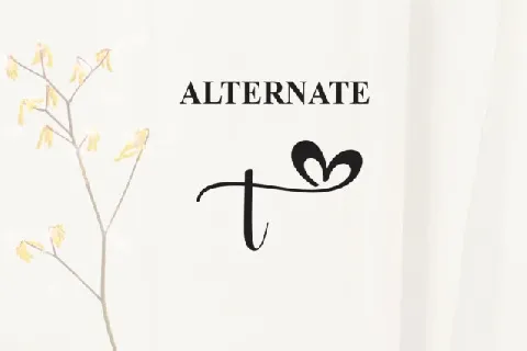 Another Calligraphy font