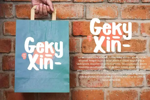 Geky Xin font