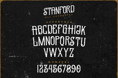 Standford Vintage font