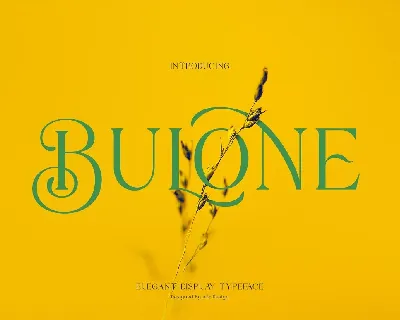 Bulone font