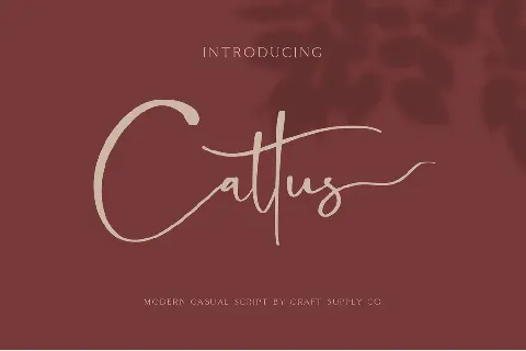 Cattus font