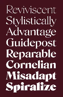 Roslindale Family font