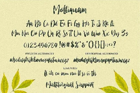 Molliquam Brush font