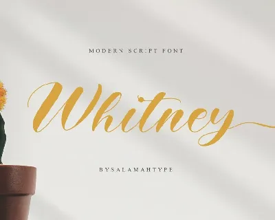 Whitney font