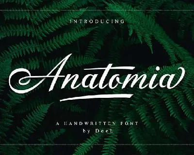 Anatomia font