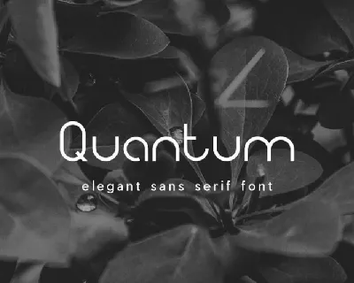 Quantum Sans Serif font