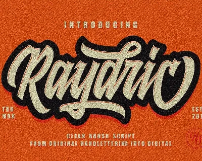 Raydric font