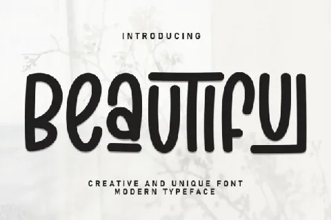 Beautiful Display font