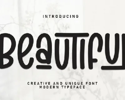Beautiful Display font