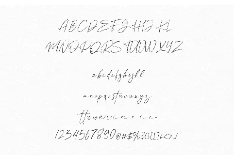 Anamortee Calligraphy font