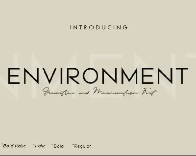 Environment (Demo) font
