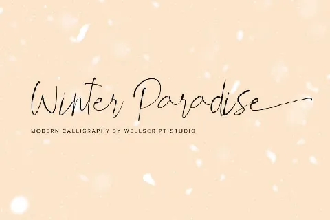 Winter Paradise Script font